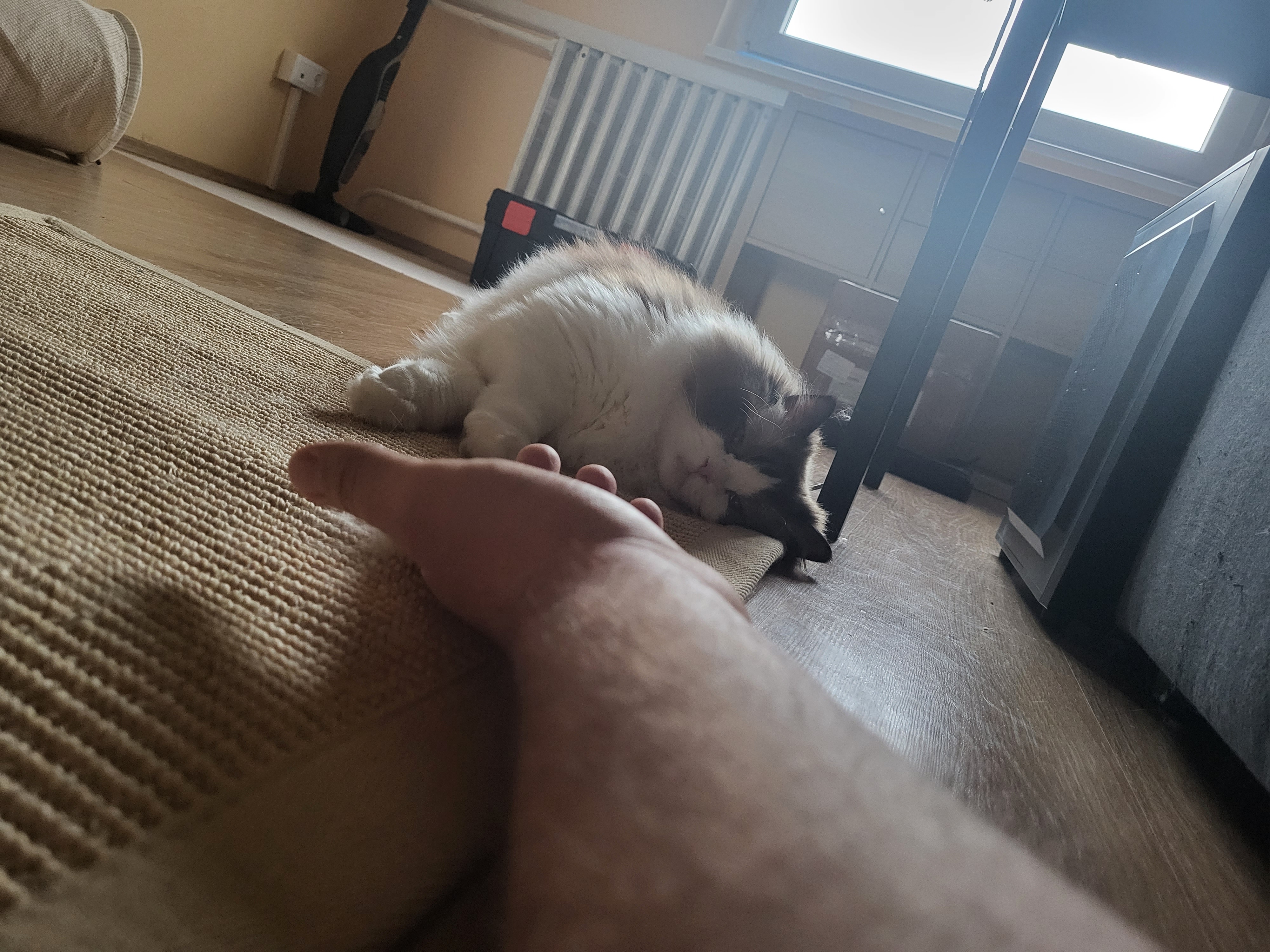 /images/Galeria/Képek gazdiktól (Pictures from owners)/20230424_153437.jpg